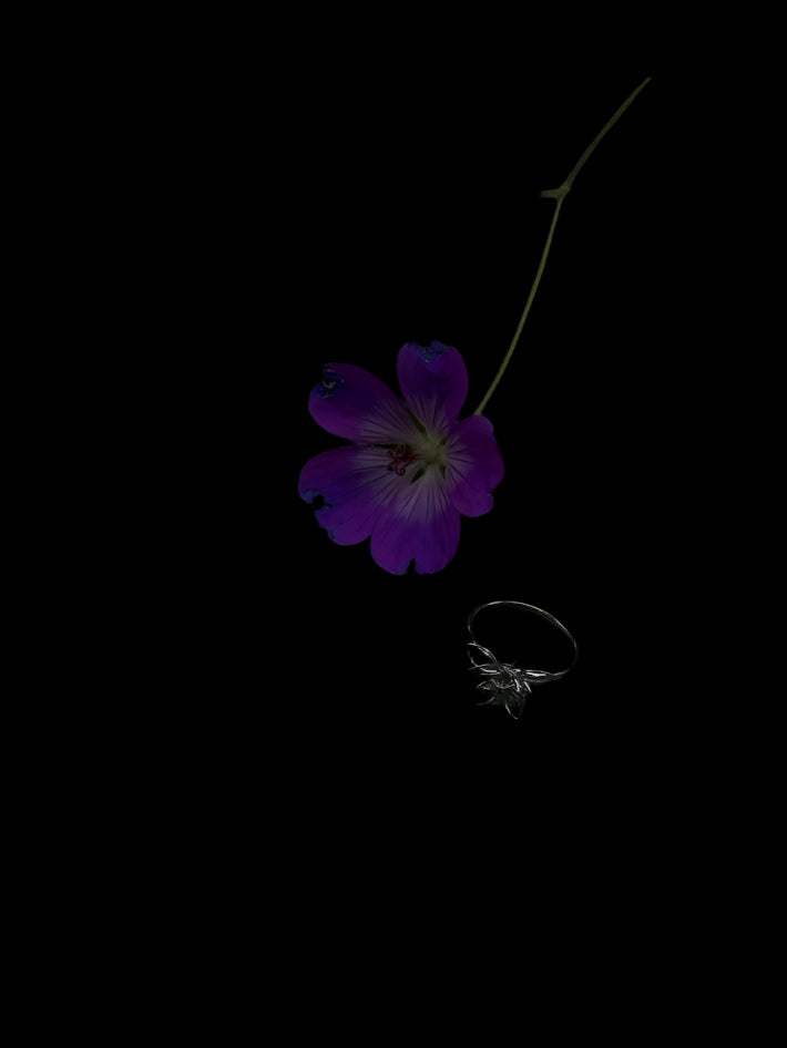 Blossom Whisper