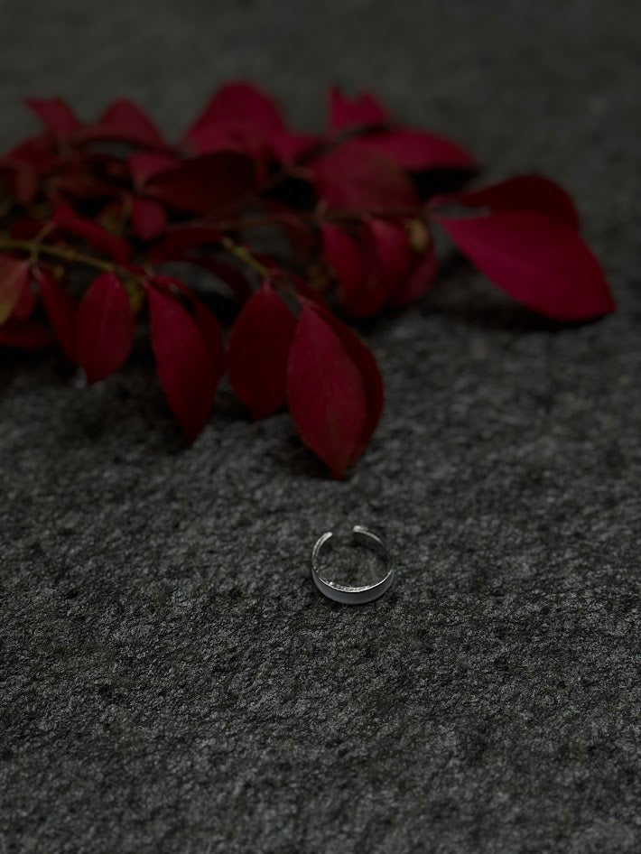 Sleek Silver Harmony