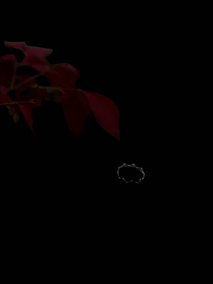 Eternal Leaf