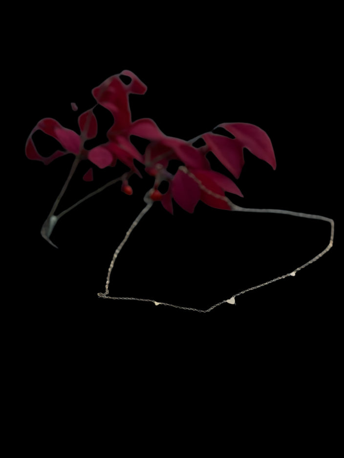 Dainty Heart Chain