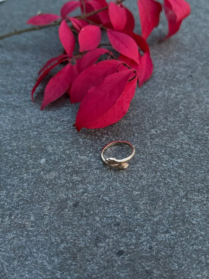 Embrace Ring