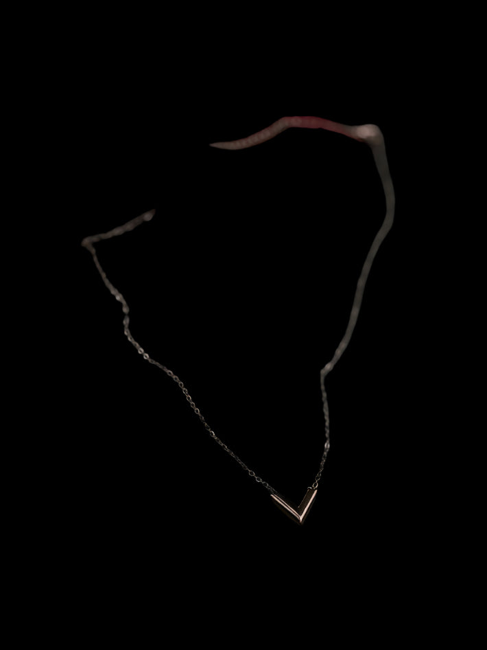 Veya signature bronze