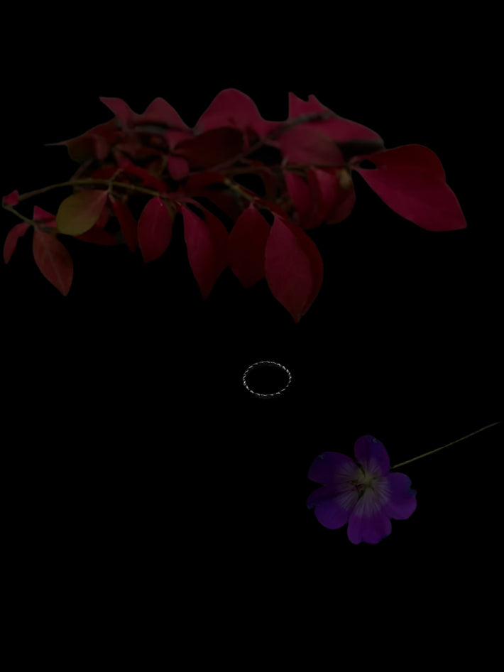 Twisted Vine