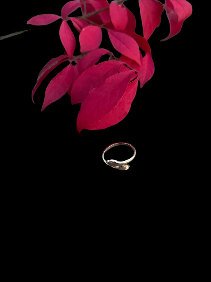 Embrace Ring
